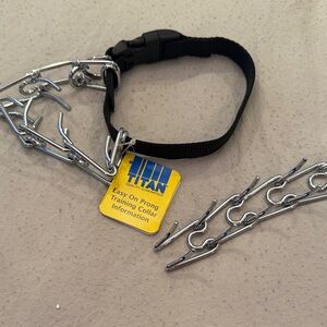 Titan Prong Collar with Black Strap and Silver Links